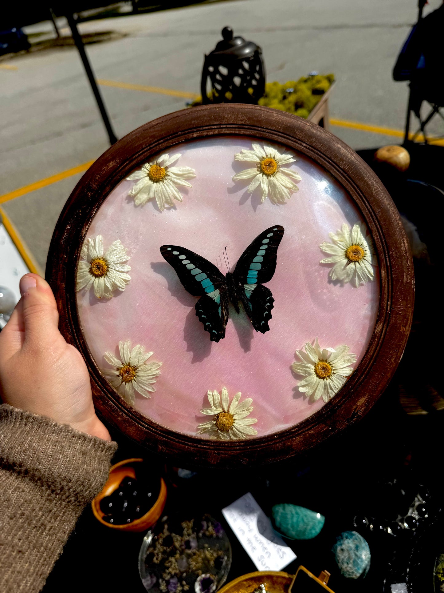 Butterfly and daisies