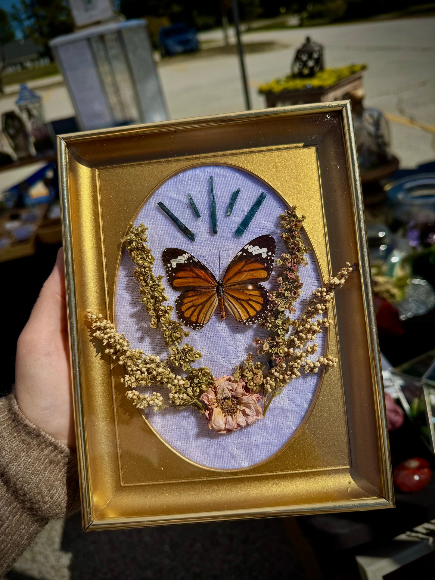 Tiger butterfly with corpse crystals