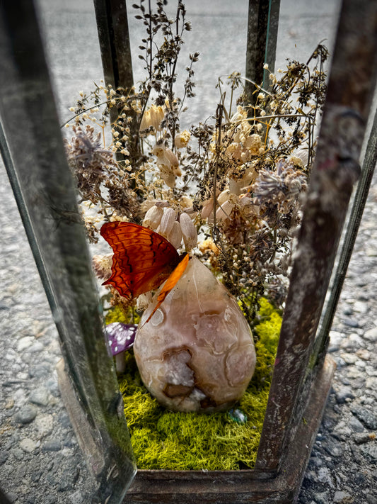 Butterfly lantern