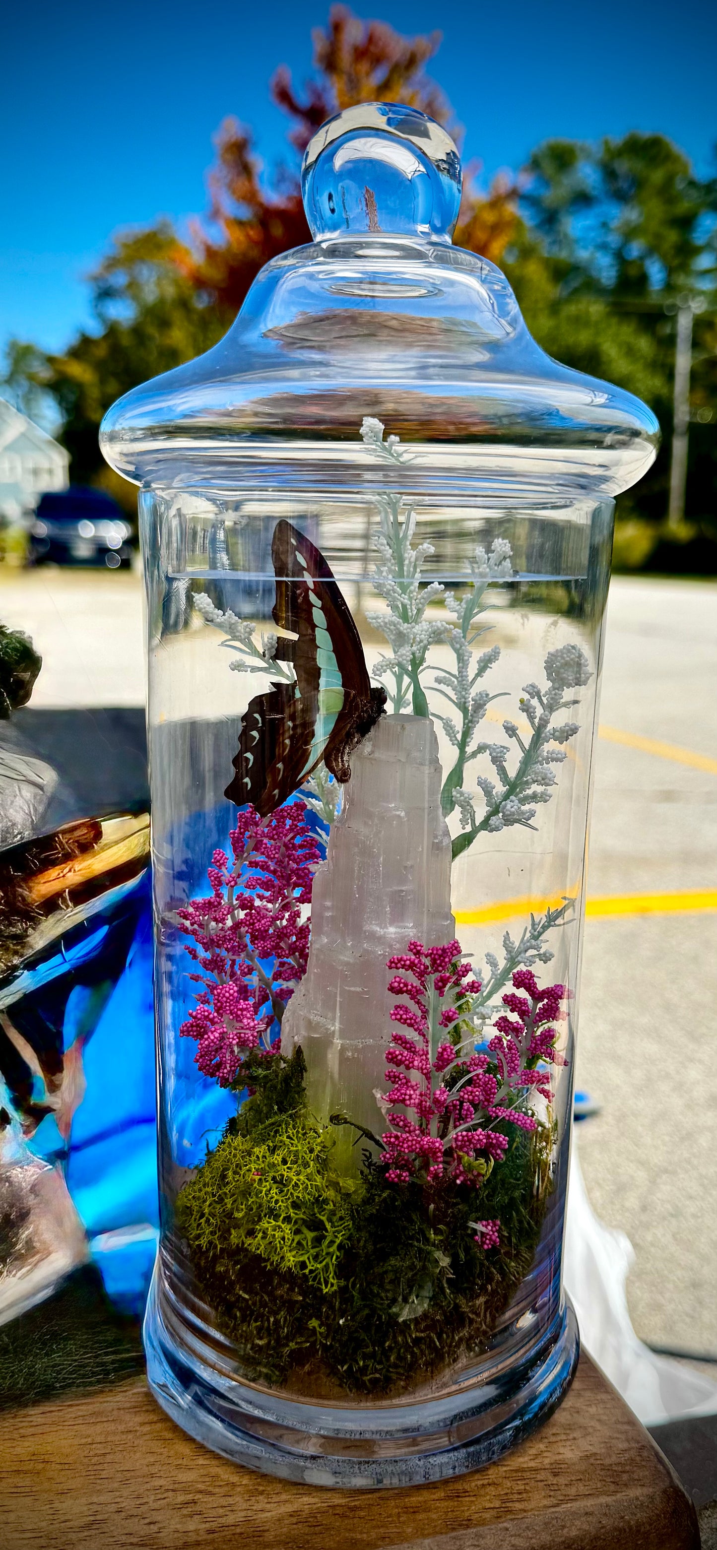 Tiger butterfly with Selenite tower