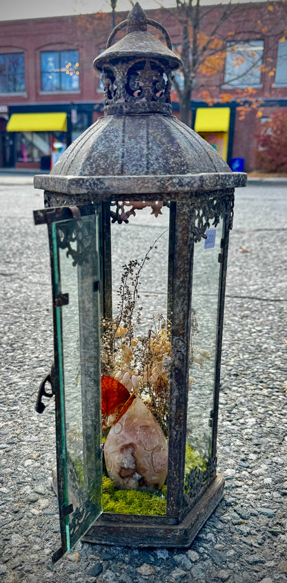 Butterfly lantern