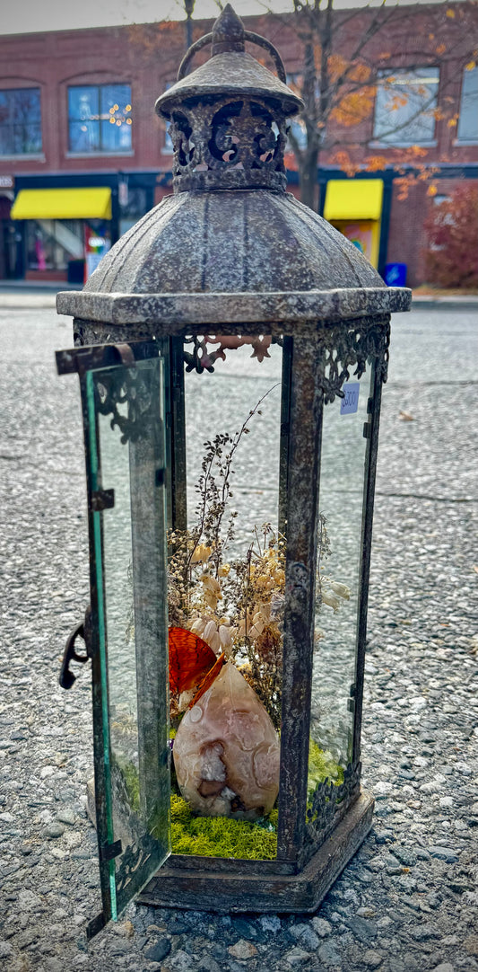 Butterfly lantern
